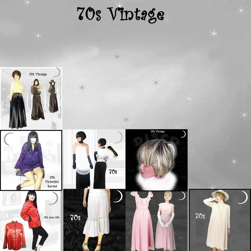 Shaggy Frosted Wig, Carousel Shag Glam Rock Tina Turner Hair - 70s Vintage - Picture 13 of 15
